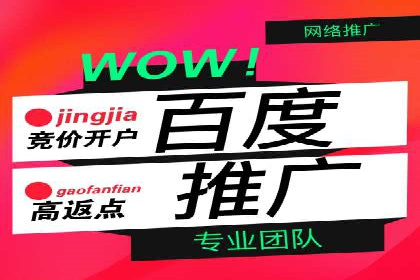 精准投放，效果惊人：百度推广代理商经典案例